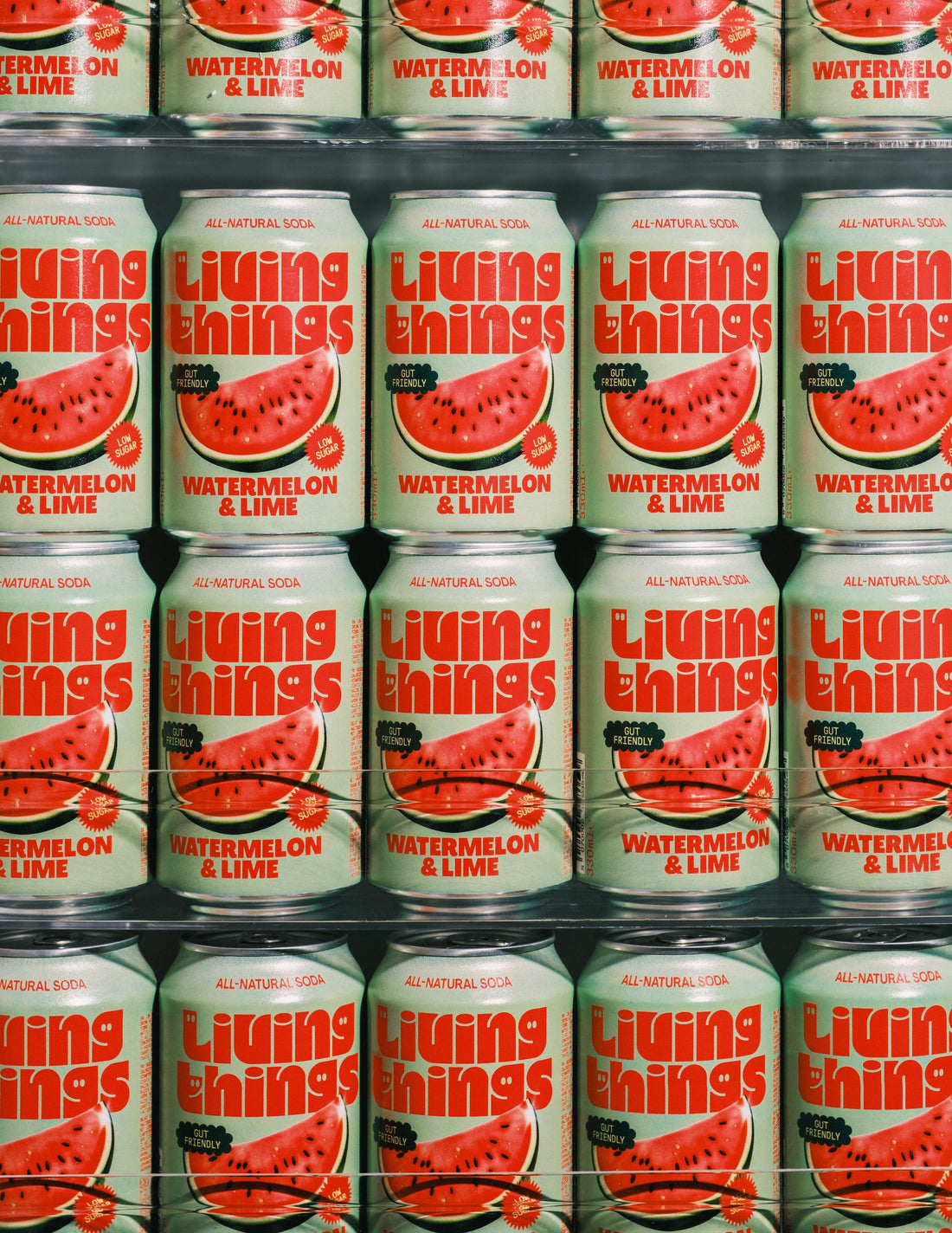Living Things Prebiotic Soda 12x330ml